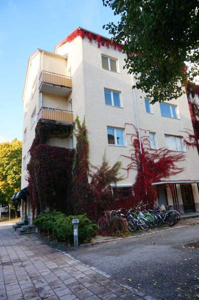 4h + k + p  Турткуль - изображение 6