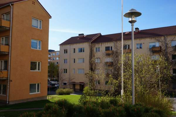 4h + k + p  Турткуль - изображение 3