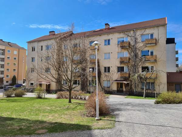 4h + k + p  Турткуль - изображение 1