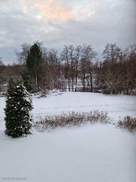 1h + avok  Макао - изображение 3