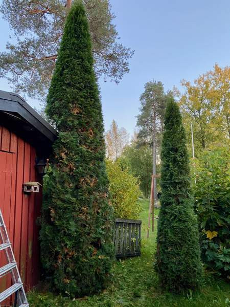 4h + s  Kirkkonummi - valokuva 4