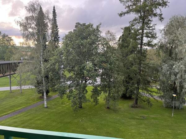 1h + avok + p  Ikaalinen - valokuva 6