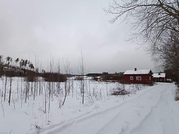 2h  Лохья - изображение 2