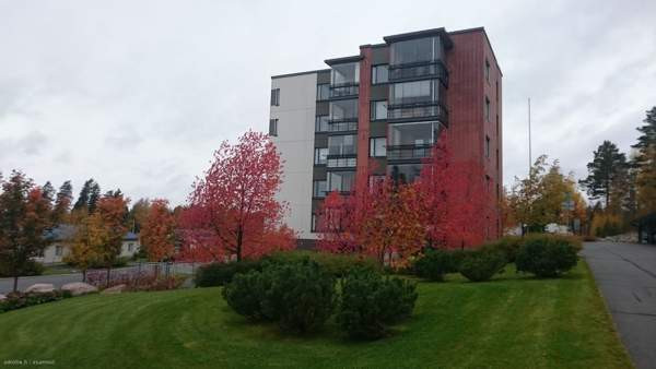 2h + k + s + p  Jyvaeskylae – foto 8