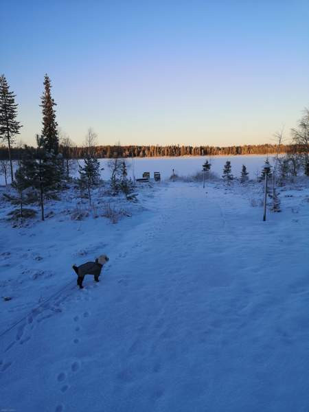 3mh + tupak.+ kodinhoitoh. + s + p + 2 wc, terassi  Kuusamo - photo 3