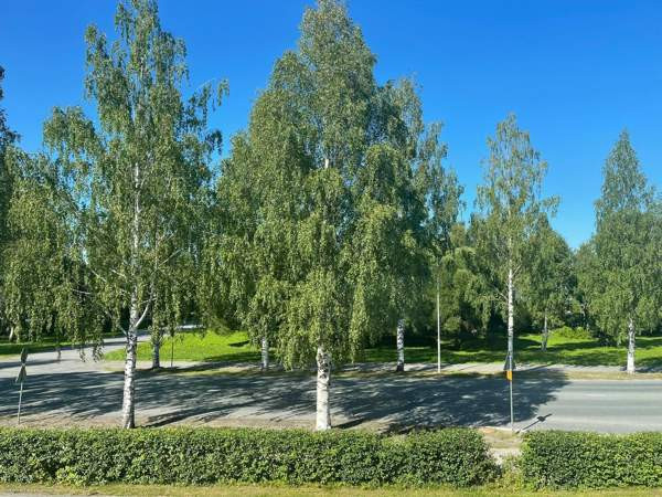 3h + k + p  Oulu - valokuva 3