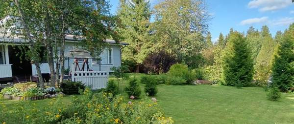 5h + s  Saarijärvi - photo 2