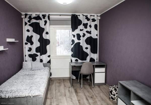 3h + s + p  Glebychevo – foto 8