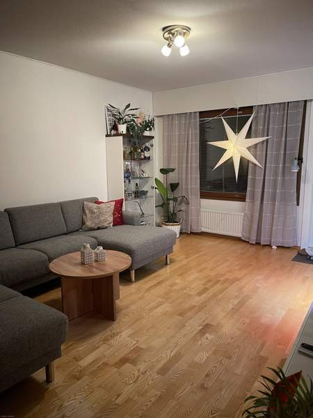 3h + s  Paltamo - изображение 3