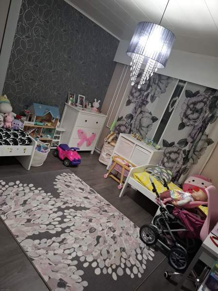 4h + k + s  Lieksa – foto 5