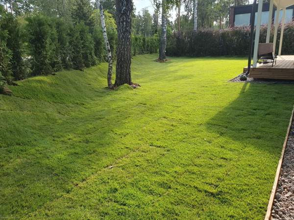 4mh, oh+avok, 2kph, 2wc, s, khh, var, ak, ters  Helsinki - photo 4