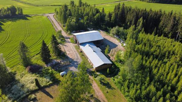 7h + k + s  Kuopio – foto 3