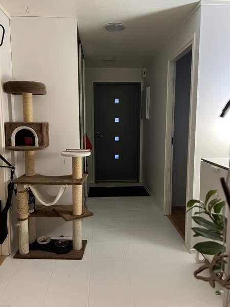 3h + s  Kuusamo – foto 7