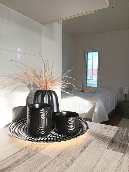 3h + k + s  Seinäjoki - valokuva 7