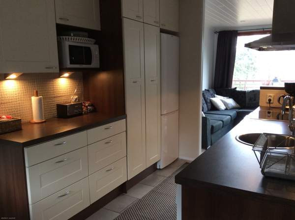 3h + s + p  Jyvaeskylae - photo 2