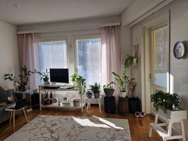 1h + avok + s + p  Joensuu – foto 1