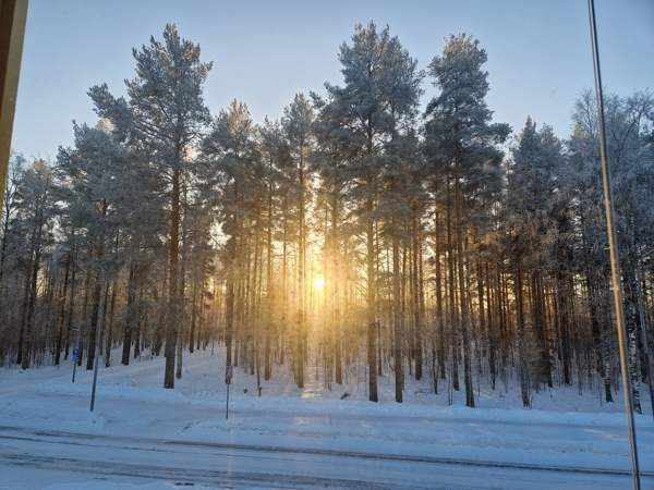 1h + avok + s + p  Joensuu – foto 8