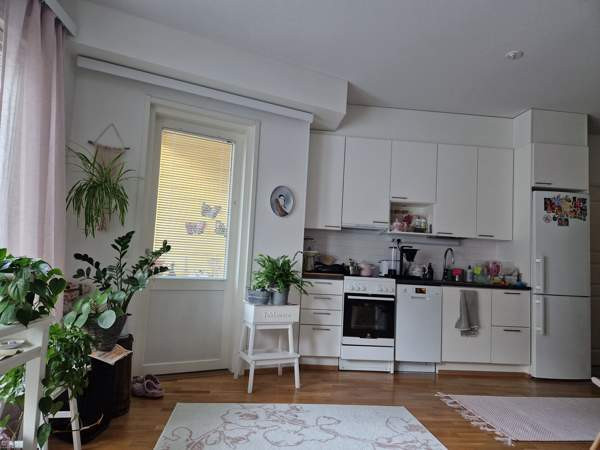 1h + avok + s + p  Joensuu – foto 3