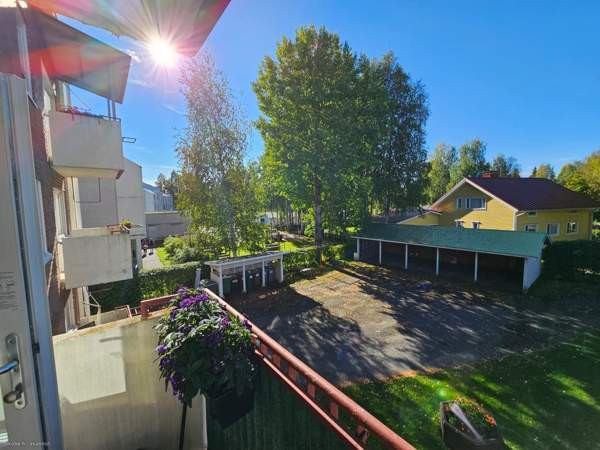 2h + k + p  Lieksa - valokuva 8