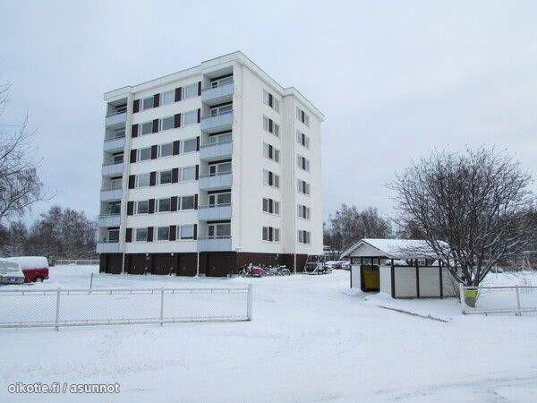 5h + avok + p  Kemin - valokuva 1