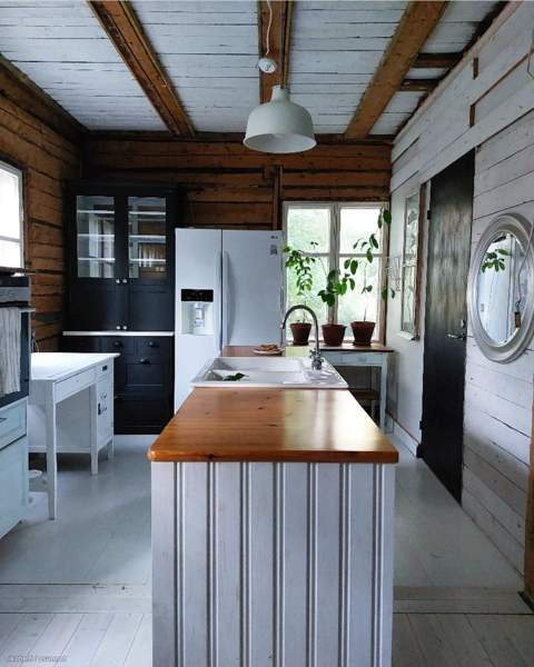 4h  Kruunupyy - valokuva 4