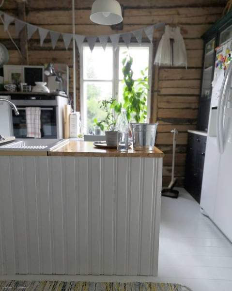 4h  Kruunupyy - valokuva 6