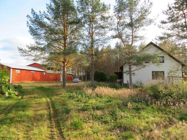 8h + k  Alajärvi - valokuva 2