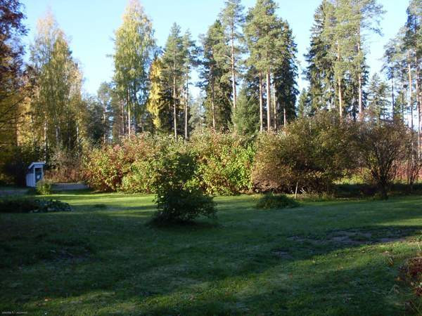 4h + k + s  Juuka - изображение 3