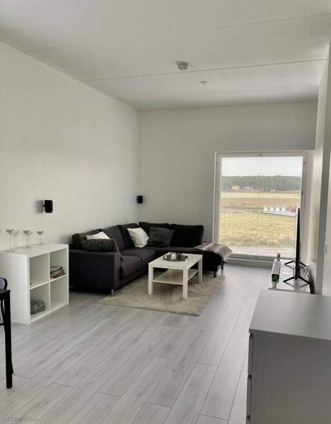 2h + avok + p  Lieto – foto 3