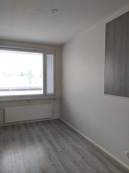 3h + k + s + p  Kemin - valokuva 4