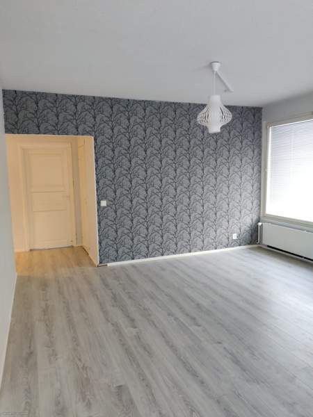 3h + k + s + p  Kemin - valokuva 6