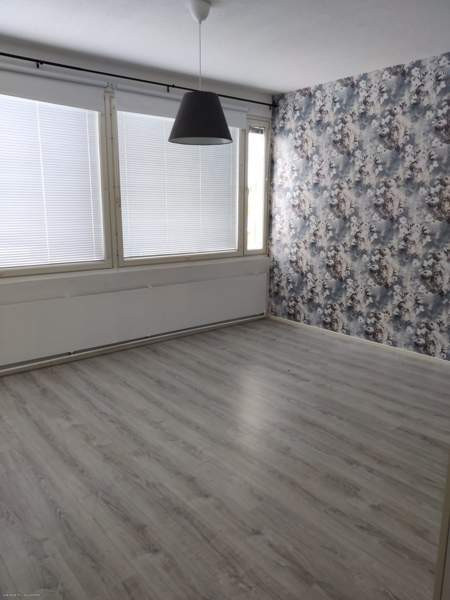 3h + k + s + p  Kemin - valokuva 8