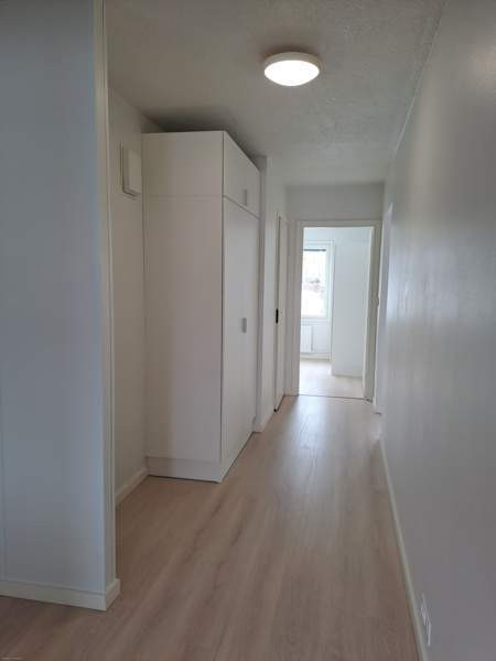 2h  Lapinlahti - photo 3