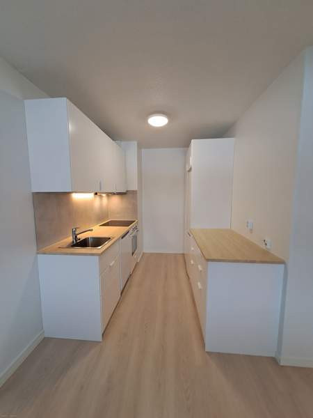 2h  Lapinlahti - photo 4