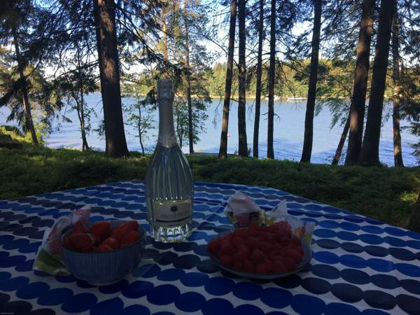 1h  Espoo - valokuva 5