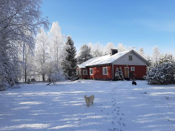 4h + tupkeittiö + khh + s  Isojoki - photo 1