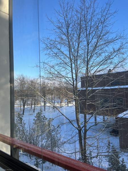 2h + s + p  Mäntyharju - valokuva 4