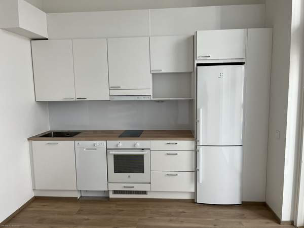 1H+KT+ALK+PARVI  Helsinki - valokuva 7