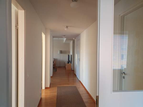 4h + avok + s + p  Оулу - изображение 6