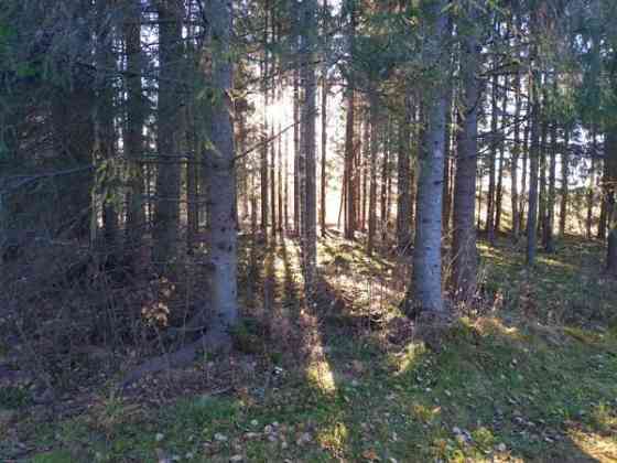 1h  Oulu
