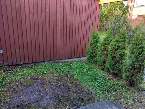 2h + avok + var + kph + wc  Jyväskylä - valokuva 3