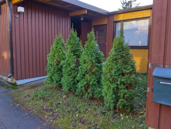 2h + avok + var + kph + wc  Jyväskylä - valokuva 1