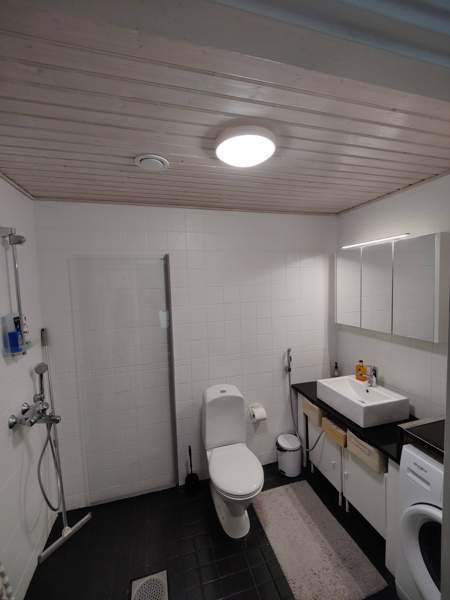 2h + k + s  Soini - photo 4