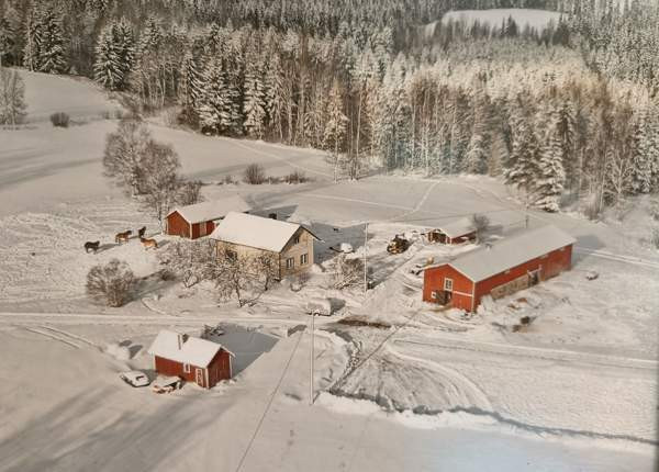 4h  Heinävesi - photo 1