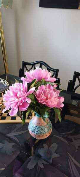 3h + s  Rauma – foto 7