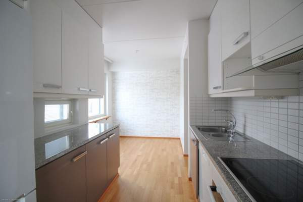 2h + k + s + p (yt. 2h+k+s)  Glebychevo - photo 1