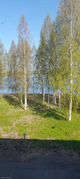 3h + p  Kemin - valokuva 8