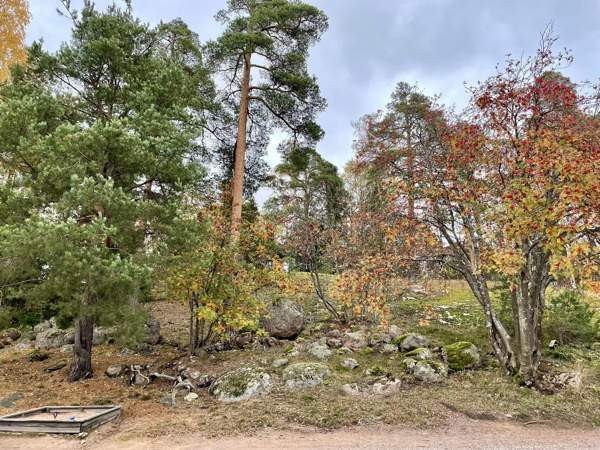 2h, kk, kph, terassiparveke, maantasoterassi  Chukotskiy Avtonomnyy Okrug - valokuva 5