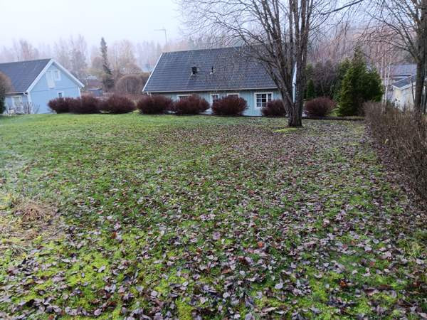 4h + s  Yloejaervi - изображение 7