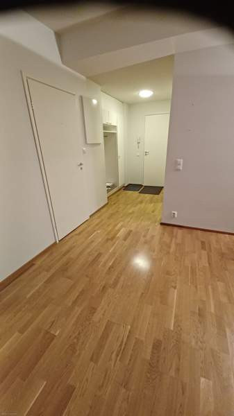 2h + s + lp  Turtkul - photo 5